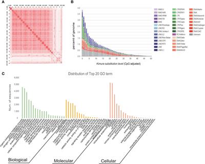 Chromosome-level genome assembly of Patagonian moray cod (Muraenolepis orangiensis) and immune deficiency of major histocompatibility complex (MHC) class II